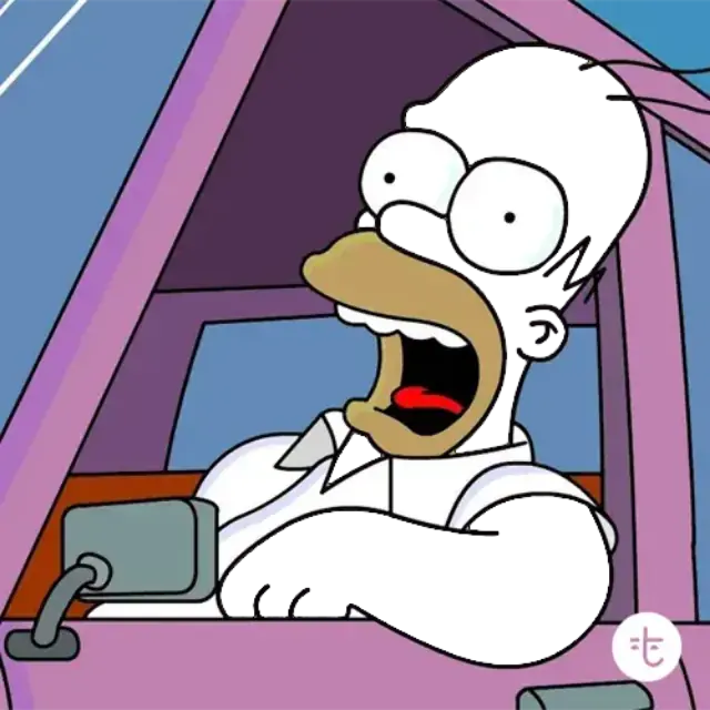Homer Simpson Skin